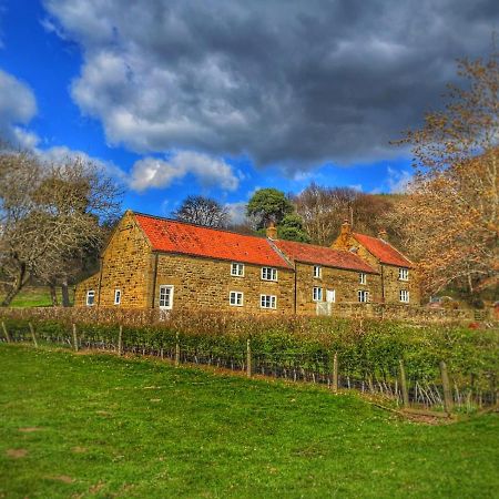 Bed and Breakfast Park House Ingleby Arncliffe Экстерьер фото