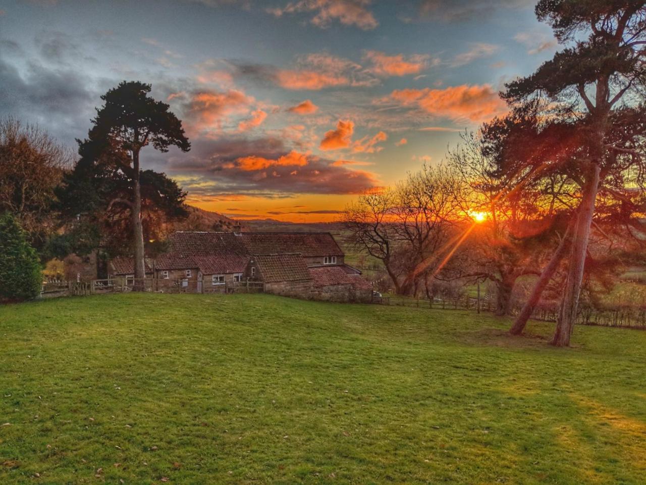 Bed and Breakfast Park House Ingleby Arncliffe Экстерьер фото