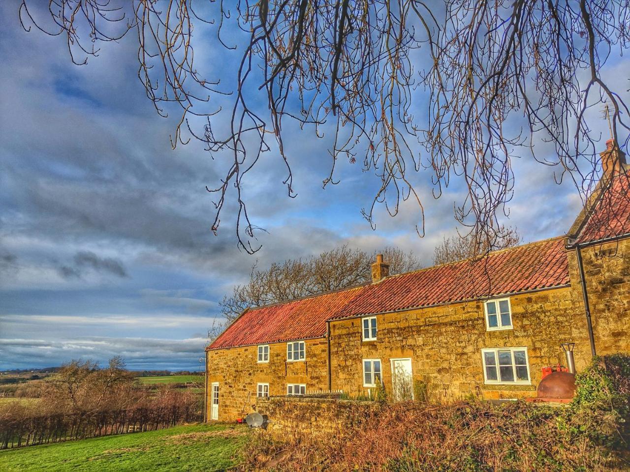 Bed and Breakfast Park House Ingleby Arncliffe Экстерьер фото