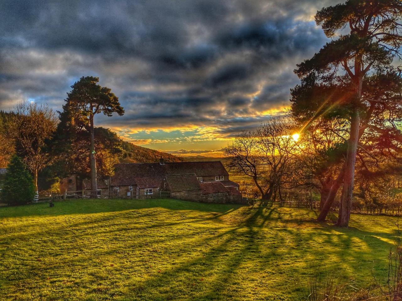 Bed and Breakfast Park House Ingleby Arncliffe Экстерьер фото