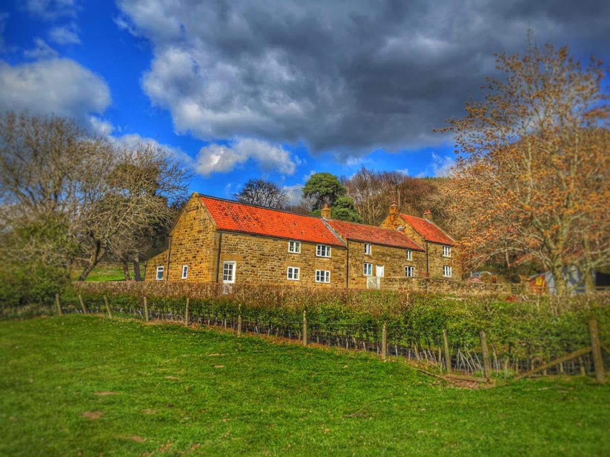 Bed and Breakfast Park House Ingleby Arncliffe Экстерьер фото
